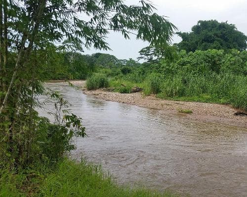 Billede - Oxapampa Amigable Selva 04 Días / 03 Noches