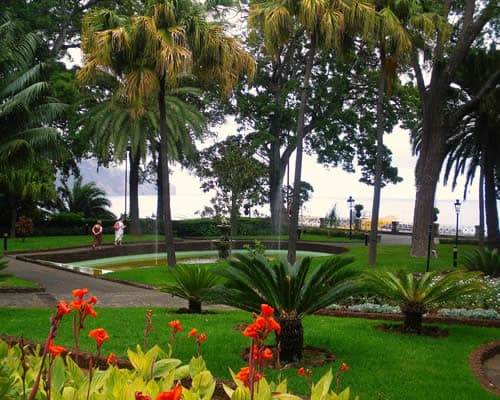 Imagem - Madeira Low Cost - 3 Dias / 2 Noites-Novembro