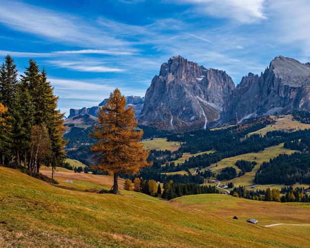 Immagine - Alpe di Siusi