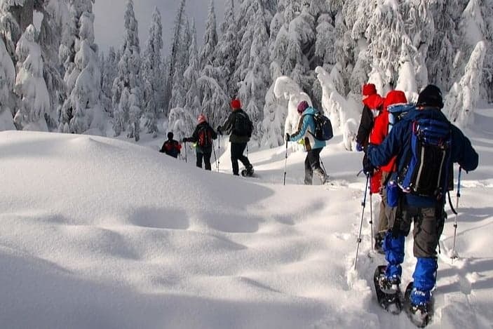 Imagem - Maravillas de Laponia, directo desde Madrid