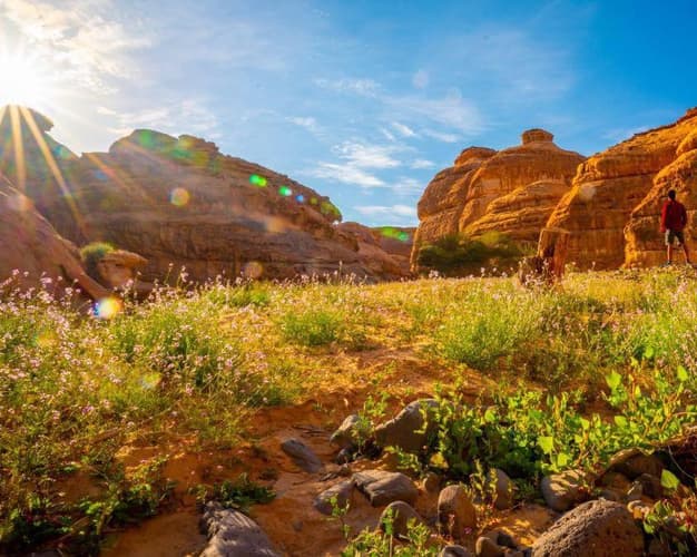 Image - Adventure Trail