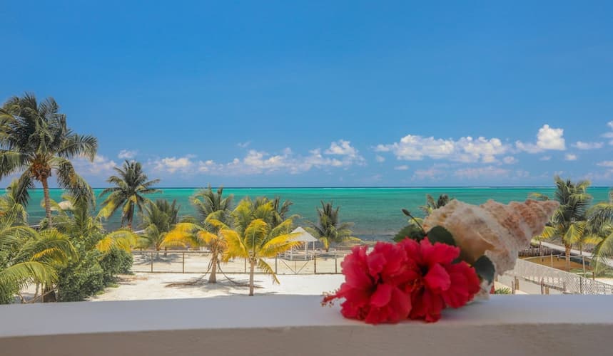 Imagen - Caye Caulker - Treetops Hotel, Belize