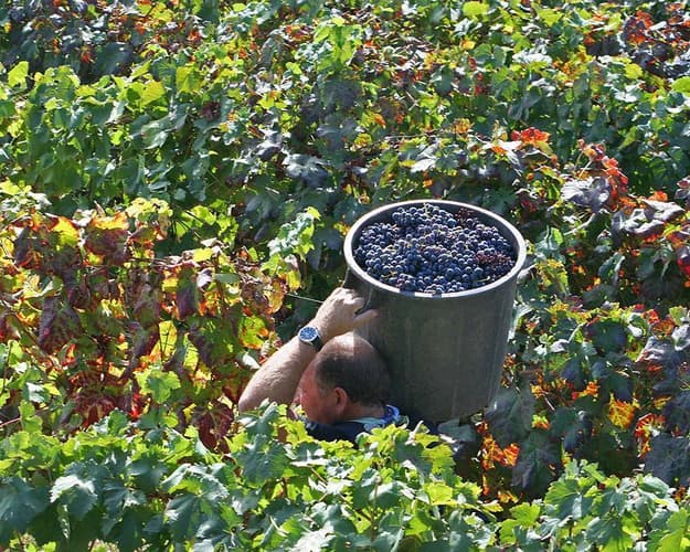 Imagem - Douro-Santa Marta de Penaguião-3*APA - Dezembro