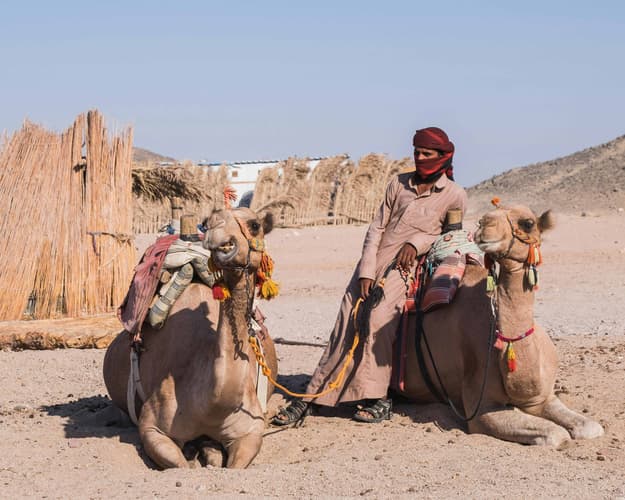 Bild - Kairo (inkl. Oasis Tour) & El Alamein + Alexandria