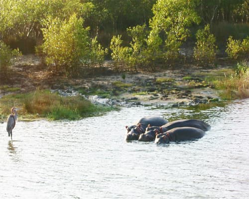 Beeld - Fly & Drive Oosten van  Zuid-Afrika