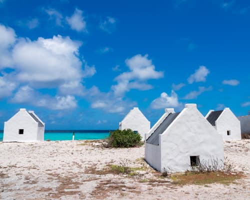 Beeld - Zonvakantie Bonaire