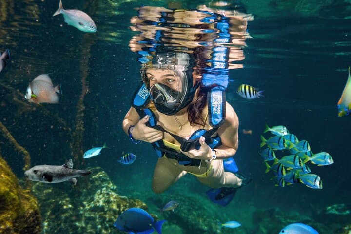 Image -  Family Trails: Mayan Riviera, Mexico - February 2025