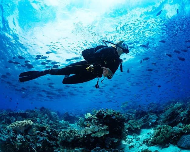 Image - 3N. JEDDAH 5* BB +  Red Sea Discovery