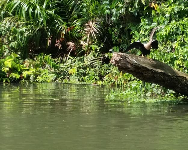 Imagen - Costa Rica Vibrante