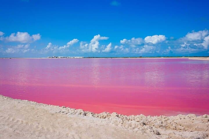 Imagem - Merida, Chichén Itzá, Las Coloradas - Mayo 2025 - 2 adultos