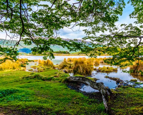 Imagem - USHUAIA   4 DAYS / 3 NIGHTS