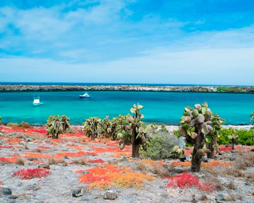 Image - Galápagos, Islas Encantada