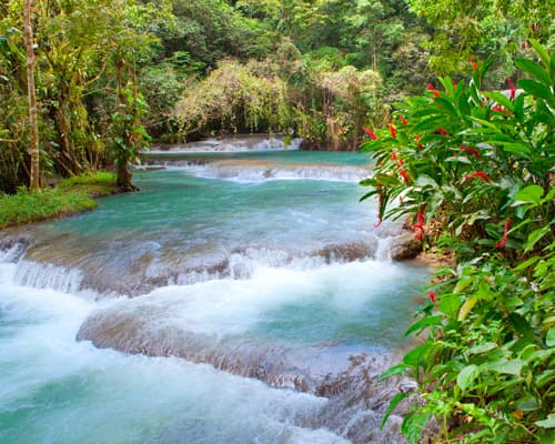 Image - Honeymoon Sandals South Coast