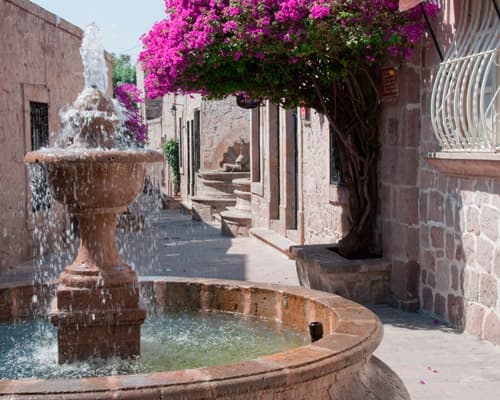 Imagen - MOSAICO MEXICANO 2025