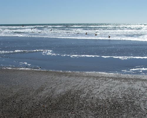 Imagen - NATURALEZA Y PLAYA EN SONORA