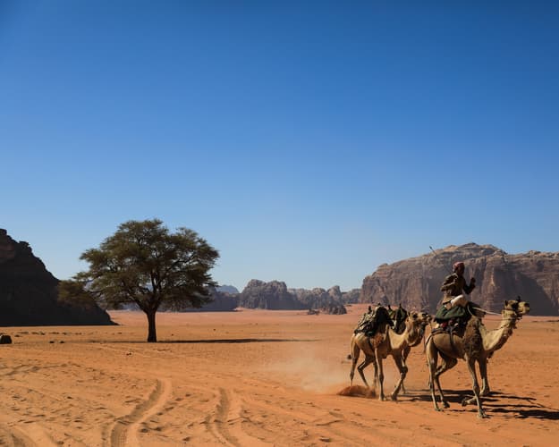 Image - Circuit Jordanie Express