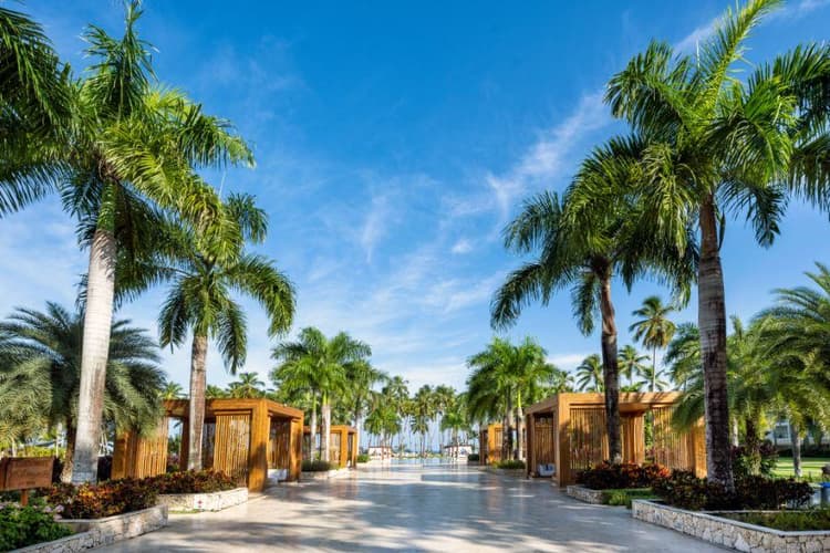 Imagen - Viva V Samaná by Wyndham con Copa