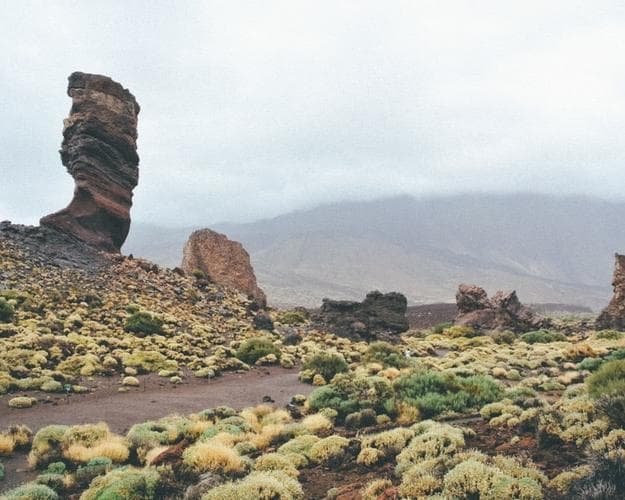 Imagem - Combinado de Fuerteventura y Tenerife