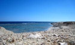 Slika - MARSA ALAM EGIPAT 4*, 7 noćenja all inclusive