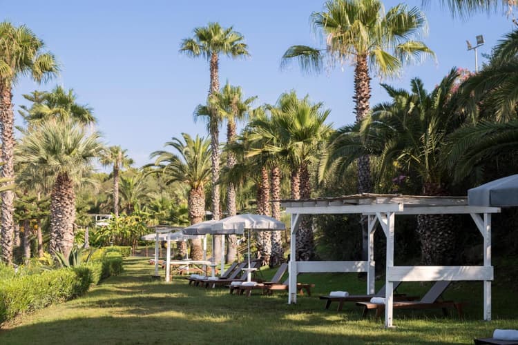 Image - Week in Half Board, Sicily - Torre Del Barone & SPA