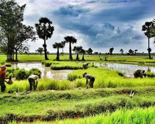 Bild - Siem Reap, Baden Sihanoukville & Phnom Penh