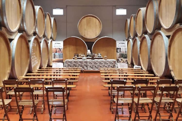 Imagen - Vizia il tuo palato! Degustazione di vino a Marsala