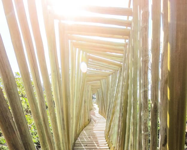 Imagen - Puerto Morelos - Hotel Hyatt Ziva con vuelo incluido