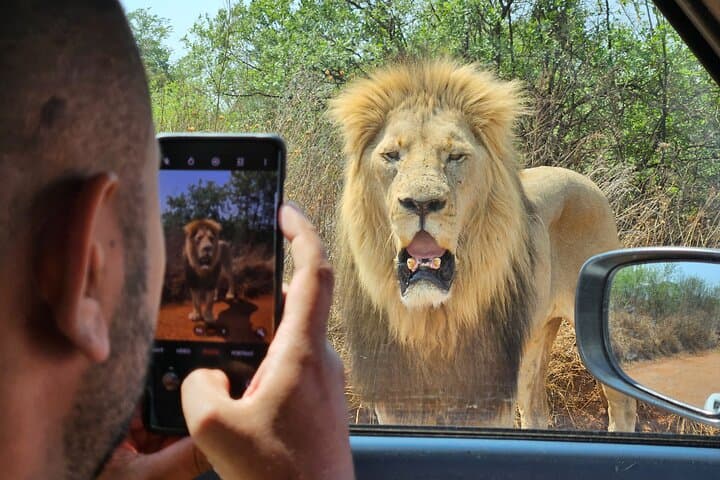 Image - Cape Town & Safari with Johannesburg