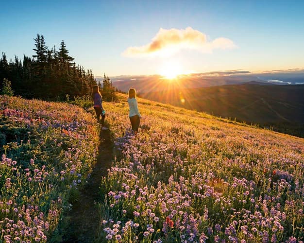 Beeld -  Charmant West-Canada