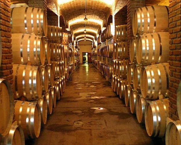 Imagen - Mendoza con excursión a Bodegas