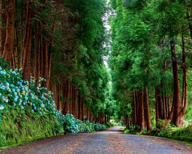 Imagem - Terceira - Páscoa 2025 🪺🐰