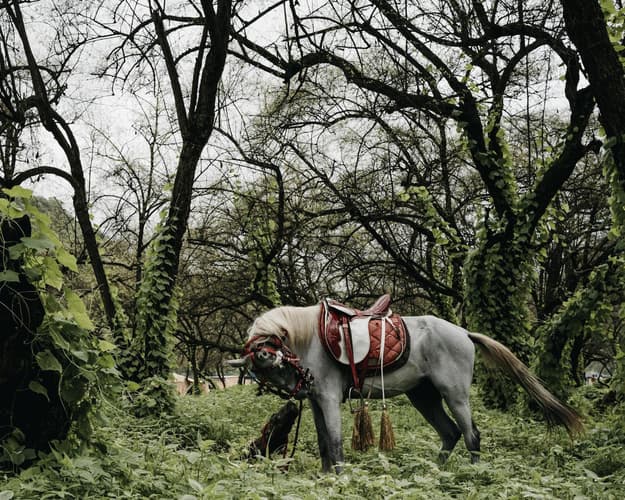 Imagen - Salam Salalah