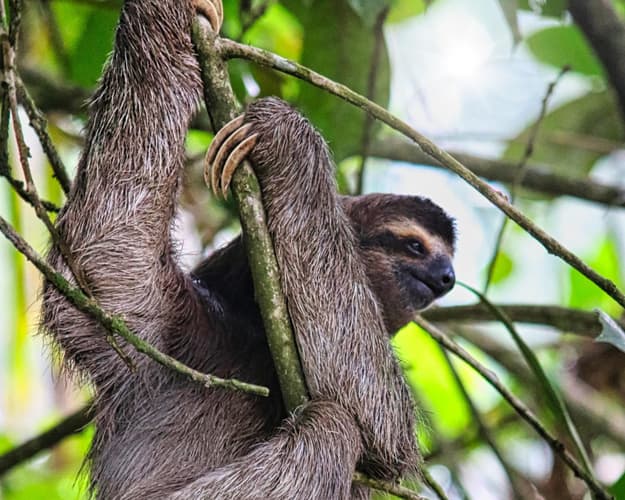 Image - Maak kennis met Costa Rica