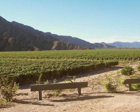 Imagen - 5 noches Mendoza