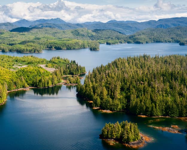 Imagen - MM854 NUEVA ZELANDA, AOTEAROA 25/26