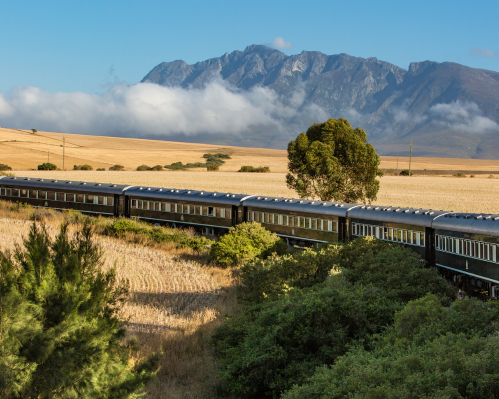 Imagen - CRUZ DEL SUR - PRETORIA-VICTORIA FALLS 2027