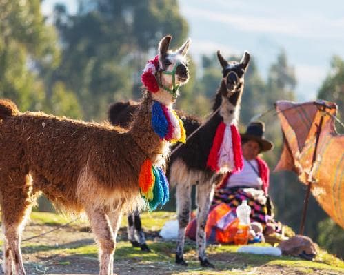 Image -  Perú desde Rosario