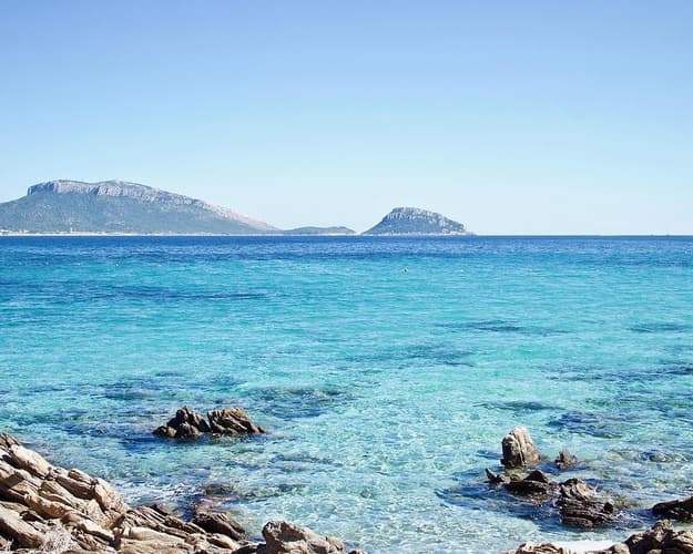 Immagine - Sa Ingia*** Cabras