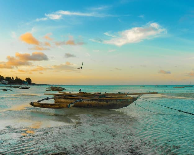 Imagen - Viaje a Zanzíbar incluye visita al Parque Nacional Jozani
