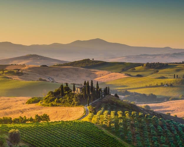 Bild - In den Chianti-Hügeln zwischen Natur und Geschmack