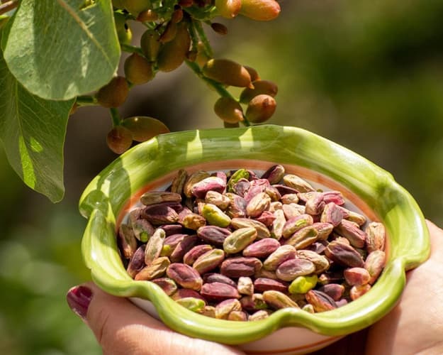 Imagen - Bronte: un viaje a través de los sabores del Etna