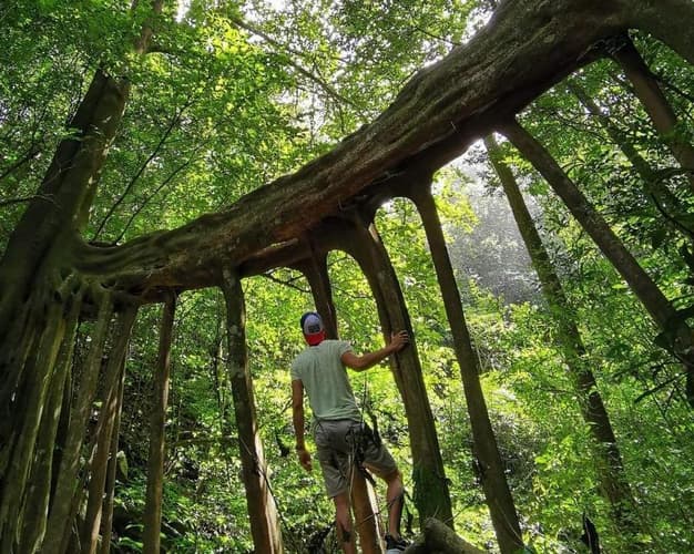 Imagen - Costa Rica Joven 