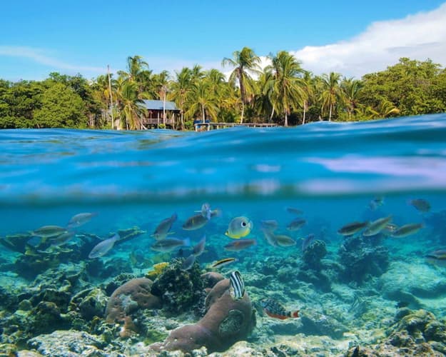 Imagen - Caribe – Panamá & Bocas del Toro