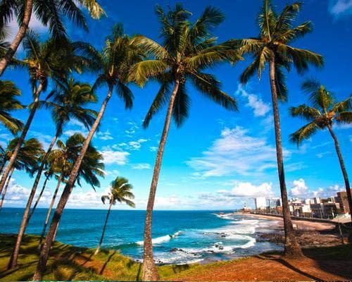 Imagem - Salvador de Bahía ¡con vuelos directos!