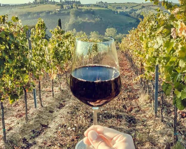 Imagen - Vinos de Alta Gama 