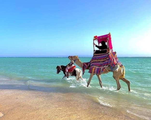 Image - 3 Days. 5* JEDDAH - Mövenpick Hotel City Star Jeddah (BB)