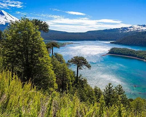 Imagen - Temuco, Chile 🏔️