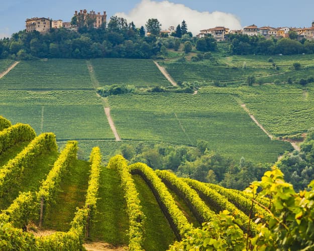 Imagen - Langhe Wine Experience entre conocimiento y sabores