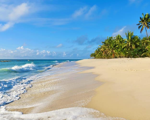 Image -  Charter Holiday - Valentine's Day in Diani Beach, Kenya