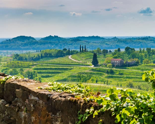 Imagen - Wine Experience Friuli Grave DOC entre historia y sabor